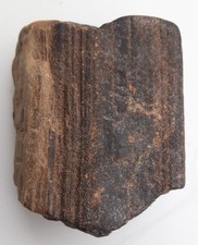 Verkieseltes Holz aus der