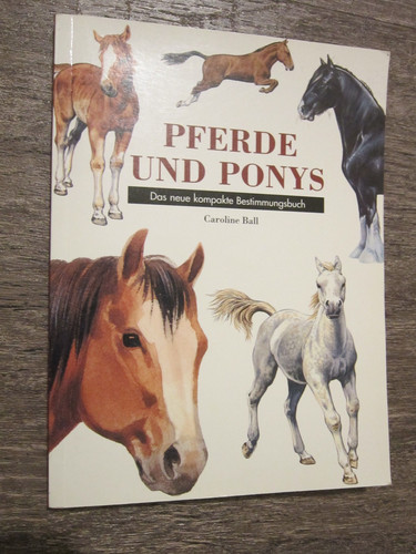 Pferde und ponys - pferde, ponys,
