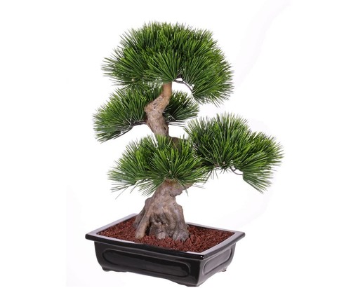 Künstlicher bonsai baum mit - baum,