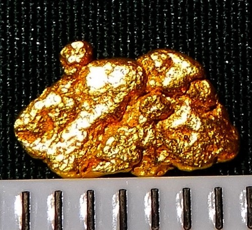 Xxl goldnugget 7 - -,