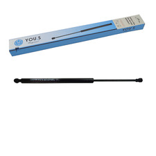 Gasfeder für Steyr Kompakt