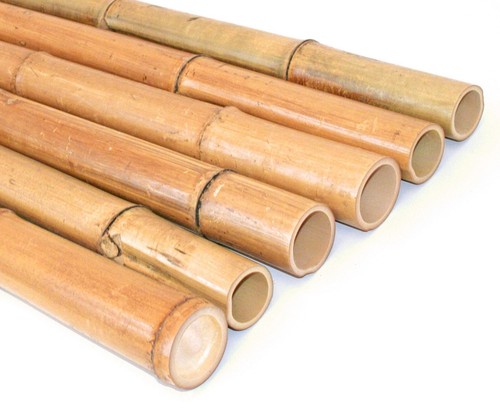 Bambusrohr 300cm