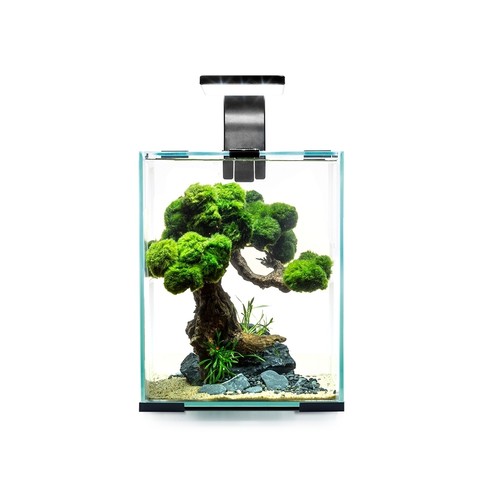 Nano aquarium 10l - 10l, led