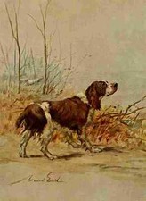 A4 Foto Graf Maud 1864 1943