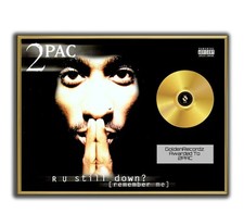 Tupac Poster, 2PAC R U Still
