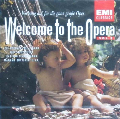 Diverse interpreten welcome - diverse,