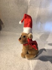 Hund baby mops - hund,