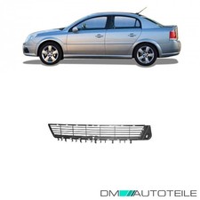 Stoßstangen Gitter Blende