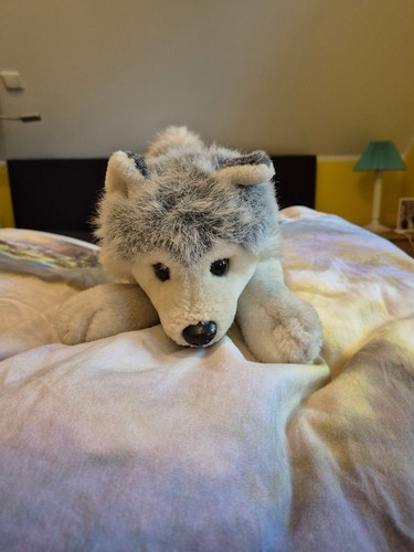 Stuffed animal house - stuffed,