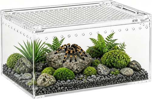 Reptile mini terrarium - reptile,