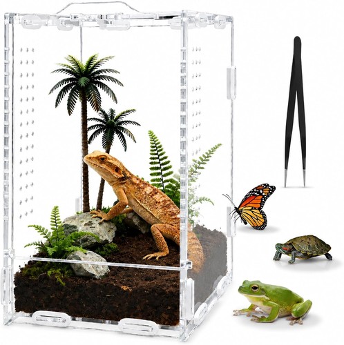 Spinnen terrarium 20x12x11cm - spinnen,