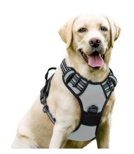 Hundegeschirr