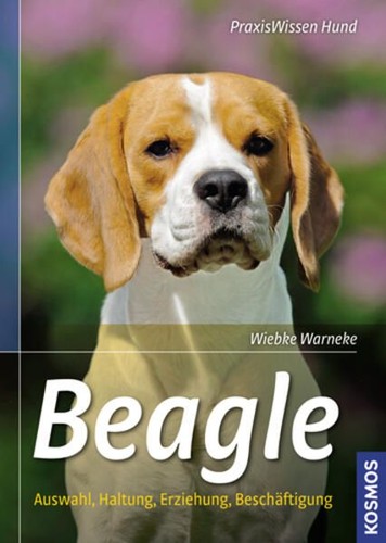 Beagle auswahl haltung - auswahl,,