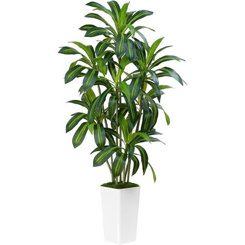 180cm künstliche dracanea - 180cm,