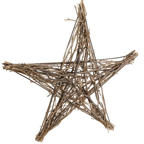 Weihnachtsstern zweige 50cm - weihnachtsstern,