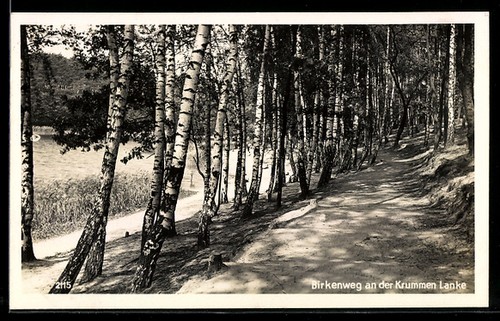 Berlin zehlendorf birkenweg - berlin-zehlendorf,,