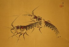 Garnelen Japanische Bildrolle