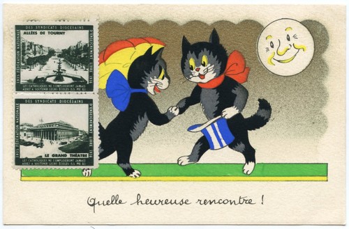 Schwarze katzen - schwarze, katzen.