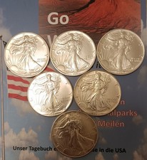 6 US Silver Dollar Walking Liberty, 1 OZ Feinsilber, Jahrgang 1990 bis 1995 