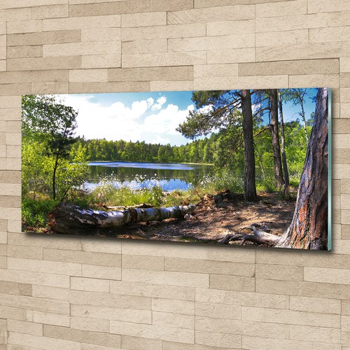 Acrylglas bild wandbilder - acrylglas-bild,