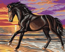 Malen nach Zahlen auf