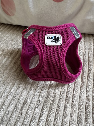Curli hund brustgeschirr - hund, xxxs