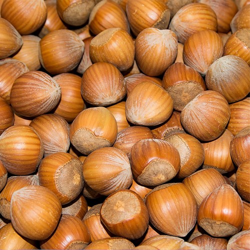 Haselnüsse schale aus - in,
