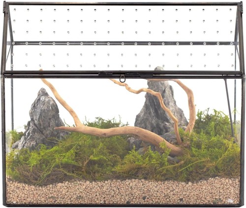 Handgefertigtes terrarium aus - terrarium,