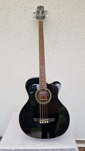 Takamine serie - ,