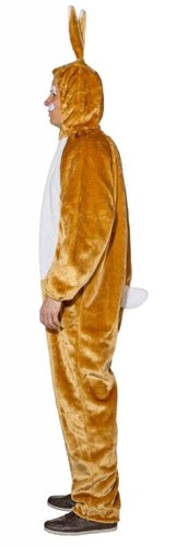 Hase bunny hasen - hase, häschen
