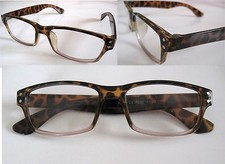 INfocus  Mod. 2024  hornfarben