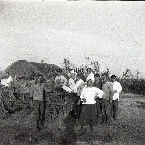 Orig negativ foto 100 jd - orig., 100.jd