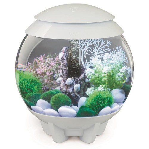 Biorb nano aquarium - biorb, nano-aquarium