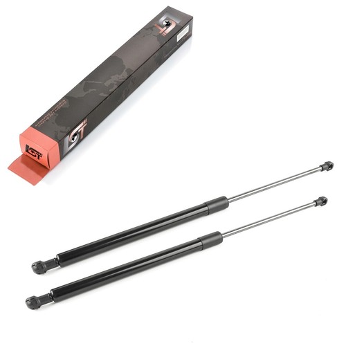 Gasfeder - 2x,