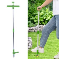 Unkrautstecher Entferner