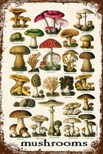 Retro Blechschild MUSHROOMS