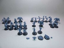 Unicorns Fantasy Football Team - 38 Modelle - Amazonen /Weibliches Menschen Team