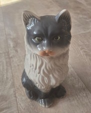 Katze sucht neues Zuhause -