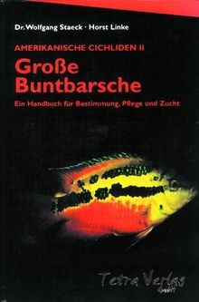 Amerikanische cichliden 2 - amerikanische,