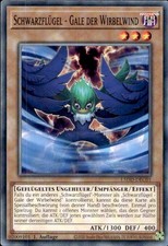 Schwarzflügel gale der - -,