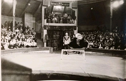 Zirkus gastspiel leipzig - zirkus,