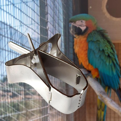 Vogelkäfig obst gemüse clip - obst,
