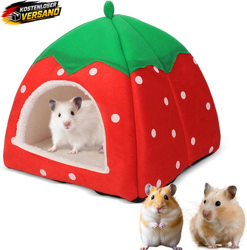 Meerschweinchen haus - meerschweinchen,