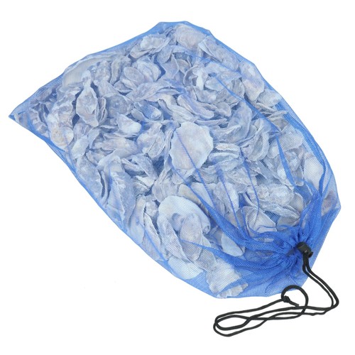 Austernschalen - (4,70, eur/kg)