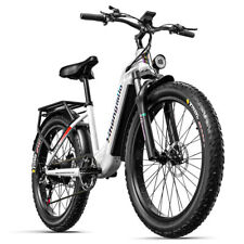 E Bike Mountainbike 26 Zoll Damen Elektrofahrrad 500W City eBike 840WH Pedelec