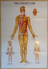 Akupunktur-Poster  Papier /