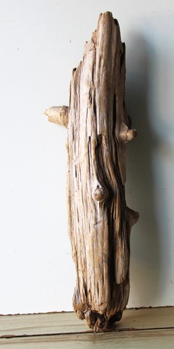 Treibholz schwemmholz - treibholz,