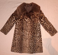 Rarität: edler Ozelot