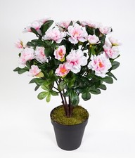 Azalee 34cm pink - -weiß, im