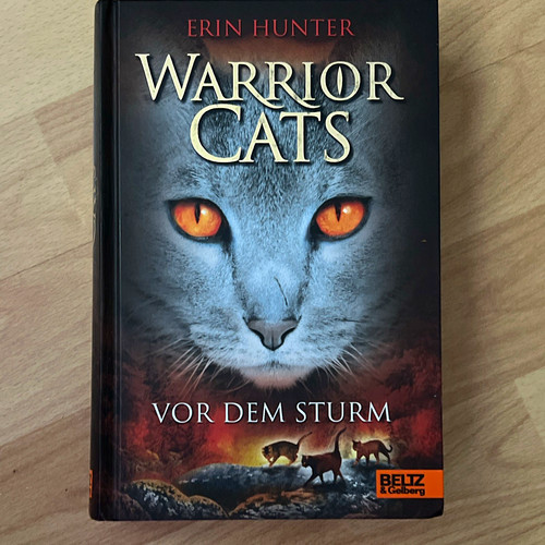 Beltz gelberg warrior - &,